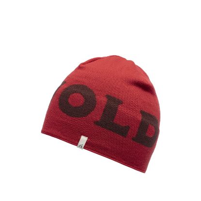 Vis detaljer for Devold DEVOLD LOGO MERINO BEANIE A BEAUTY  Bilde av Devold DEVOLD LOGO MERINO BEANIE A BEAUTY