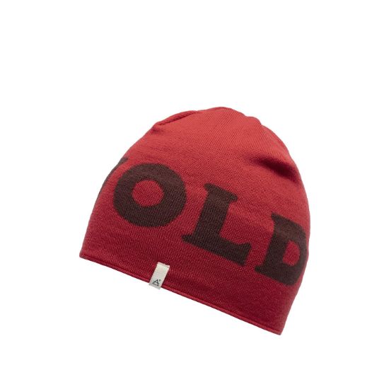 Bilde av Devold DEVOLD LOGO MERINO BEANIE A BEAUTY 
