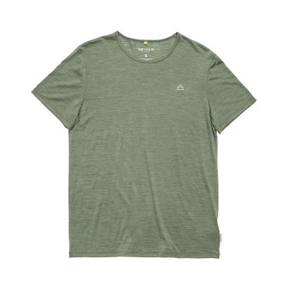 Vis detaljer for Devold ACTIVE TEE MAN A FOREST  Bilde av Devold ACTIVE TEE MAN A FOREST