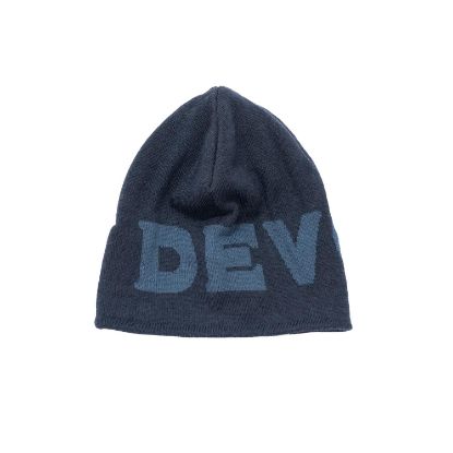Bilde av Devold Logo Merino Beanie 